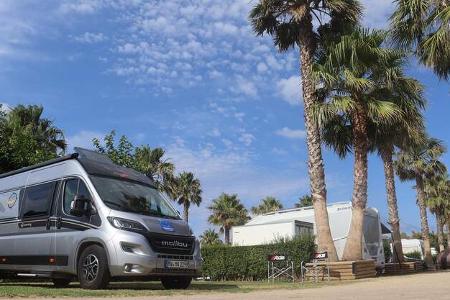 Palmen, Campingbus