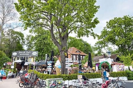 Reise Berlin Biergarten f