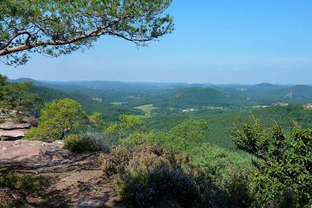 Herbstziel: Pfälzerwald