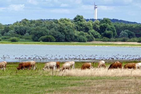 Stellplatz Brandenburg f Landschaft