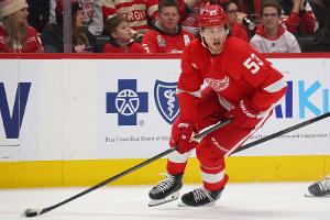 NHL: Seiders Red Wings beenden Negativserie