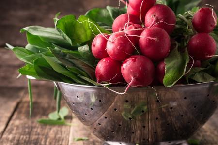 Radieschen