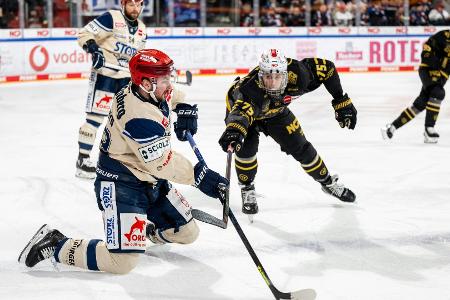 DEL: Nürnberg erstmals seit 2019 wieder in den Play-offs