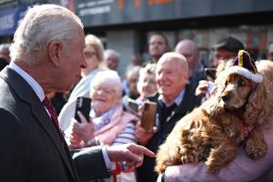 Limavady: König Charles wird von gekröntem Hund begrüßt