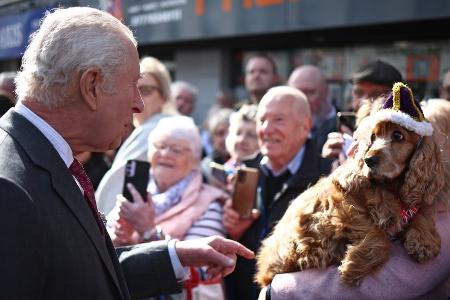 Limavady: König Charles wird von gekröntem Hund begrüßt