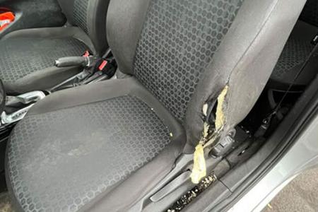 Berliner Polizei-Autos