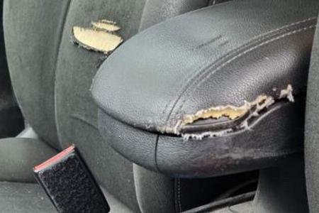 Berliner Polizei-Autos