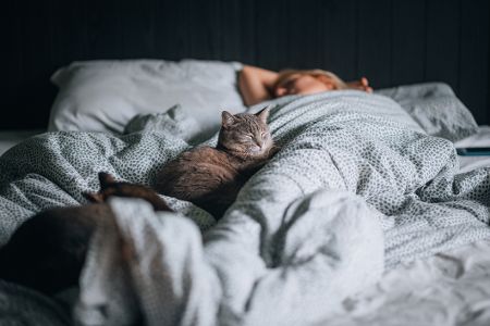 Katze liegt bei Frauchen im Bett
