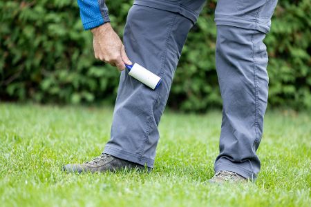 Mensch in langen Hosen rollert sich auf der Suche nach Zecken die Hose ab