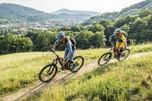 Zu den Trails geht es auf idyllischen Forstwegen bergauf. Mountainbiken in Freiburg.