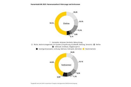 ADAC Pannenstatistik 2024
