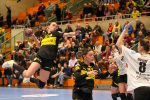 Handball: Meister Ludwigsburg holt BVB-Ass Degenhardt