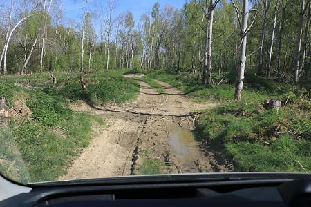 Offroad-Fahrtraining: Blick aus der Frontscheibe in den Wald