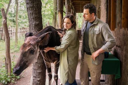 TV-Tipps am Dienstag