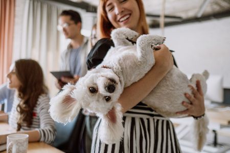 Frau knuddelt mit Hund auf dem Arm, während im Hintergrund Büroarbeit erledigt wird.
