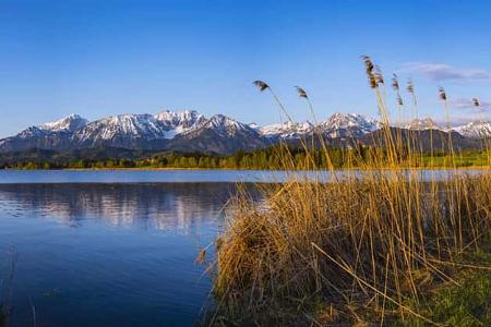 Sunrise, Hopfensee, near Fussen, Ostallgau, Allgau, Upper Swabia, Swabia, Bavaria, Germany, Europe
