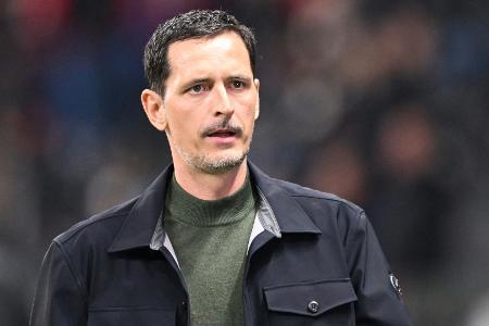 Toppmöller blickt nach vorn: 