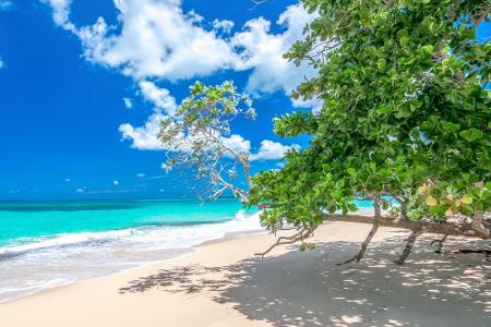 Playa Rincón, Dominikanische Republik