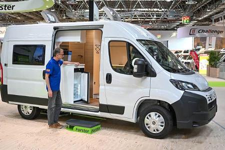 Forster Youngster Sunny (2025)