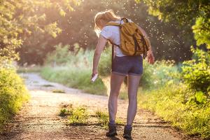 Zecken fernhalten: Diese Mittel schützen am besten
