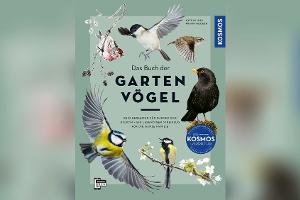 Wie wir heimische Vogelarten im eigenen Garten schützen können