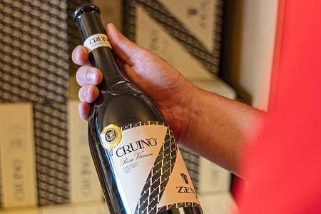 Travel Guide Ford Nugget