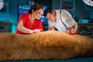 TV-Tipps am Dienstag