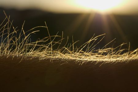 Haare stehen bei Gänsehaut zu Berge