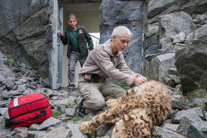 TV-Tipps am Dienstag