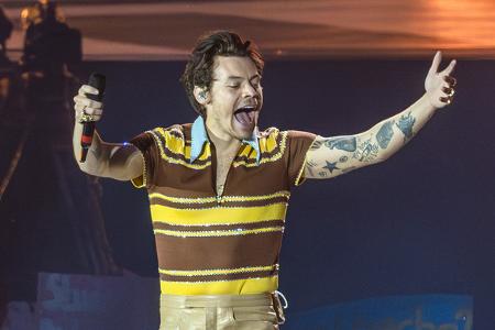 Alle wollen Harry Styles — das kann man sogar verstehen. Doch ein bewaffneter Räuber wollte am Valentinstag 2020 noch mehr: Er bedrohte den Sänger im Londoner Nobelstadtteil Hampstead mit einem Messer ...