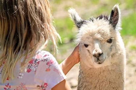 Serengeti-Park Hodenhagen