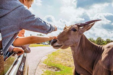 Safariland Stukenbrock