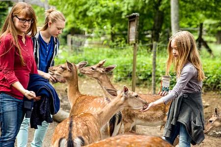 Wildpark Bad Mergentheim