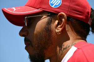 "Erschütternd": Hamilton überfährt Murmeltier