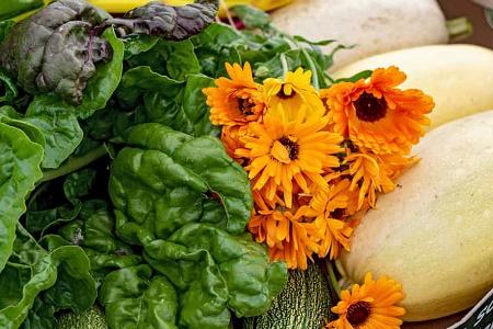 Insel Bornholm Dänemark