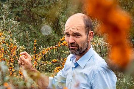 Insel Bornholm Dänemark