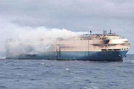 Felicity Ace Autotransporter