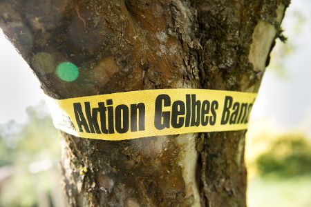 Ein gelbes Band ist um einen Baumstamm gewickelt