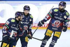 DEL: Alle 14 Teams erhalten die Lizenz