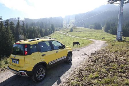Fiat Panda Cross, Almabtrieb, Impression
