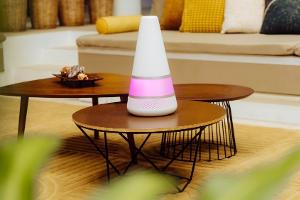 Jetzt testen Paare ihre Liebe bei "Too Hot to Handle: Germany"