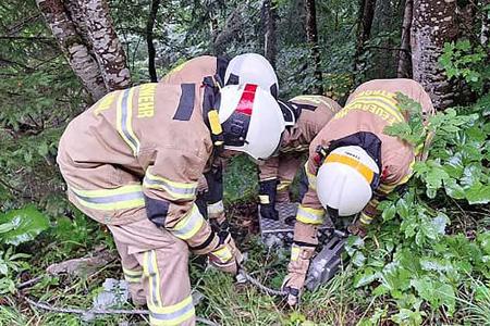 Porsche Carrera GT Rettungsaktion Alpen Österreich Strobl Feuerwehr