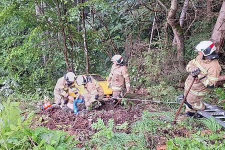 Porsche Carrera GT Rettungsaktion Alpen Österreich Strobl Feuerwehr