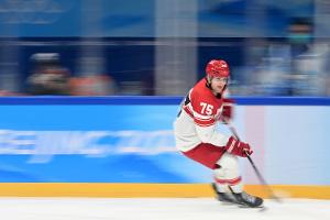 DEL: Roosters verpflichten dänischen Nationalspieler