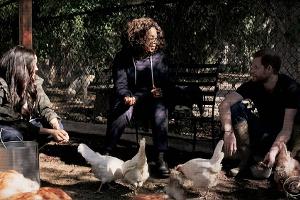 Oprah Winfrey erzählt von Harry und Meghans "Enten-Notfall"
