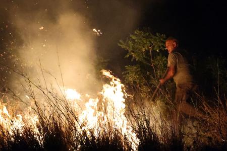 Umweltschutzorganisation: Sizilien war in diesem Jahr stark von Bränden betroffen.