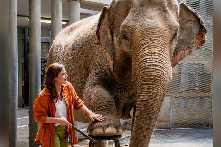 TV-Tipps am Dienstag