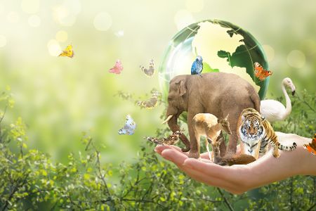 Hand hält Erdkugel und mehrere Tiere vor einem Grashintergrund