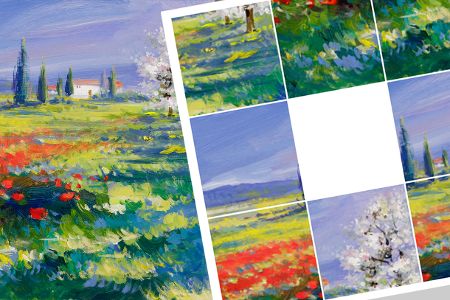 Schiebepuzzle: Mohnblumen