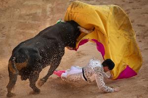 Stierkampf ist in Spanien ein geschütztes Kulturgut. (Archivbild)